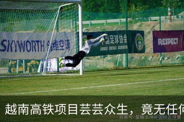 越南高铁项目芸芸众生，竟无任何企业肯接盘